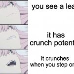 I stepped on a leaf | you see a leaf; it has crunch potential; it crunches when you step on it | image tagged in crunchy leaf | made w/ Imgflip meme maker