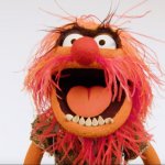 Muppet Animal