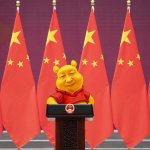 Winnie Xi Jinping