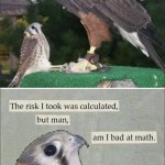 The Risk I took was calculated, but man, am I bad at Math meme
