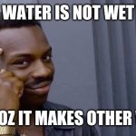 Water isn't wet | WATER IS NOT WET; BECOZ IT MAKES OTHER WET | image tagged in knowledge,wet | made w/ Imgflip meme maker