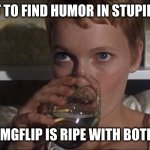 The proof is everywhere, just being honest | GOT TO FIND HUMOR IN STUPIDITY; IMGFLIP IS RIPE WITH BOTH | image tagged in rosemary,internet,social,media | made w/ Imgflip meme maker