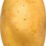 Potato png