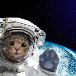 Kitty Cat astronaut in space