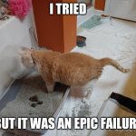 Epic Failure | I TRIED; BUT IT WAS AN EPIC FAILURE | image tagged in litter box failure | made w/ Imgflip meme maker
