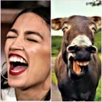 AOC is a jackass