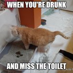 Wrong Way | WHEN YOU'RE DRUNK; AND MISS THE TOILET | image tagged in lampshade litterbox failure | made w/ Imgflip meme maker