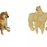 Cheems vs Buff Doge flipped