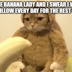 Monkey Cat | ONE MORE BANANA LADY AND I SWEAR I WILL SHIT ON YOUR PILLOW EVERY DAY FOR THE REST OF MY LIFE. | image tagged in monkey cat | made w/ Imgflip meme maker