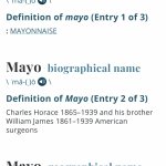 Merriam-Webster Mayo definition