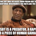 Bill Cosby is a rapist | THIS GUY WAS RELEASED FROM PRISON DUE TO PROSECUTORIAL MISCONDUCT, THE FACTS ARE THE FACTS; COSBY IS A PREDATOR, A RAPIST AND A PIECE OF HUMAN GARBAGE | image tagged in bill cosby,rapist | made w/ Imgflip meme maker