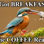 bird | I Got BREAKFAST; Is the COFFEE Ready? | image tagged in bird | made w/ Imgflip meme maker