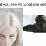 What you see VS what she sees | image tagged in what you see vs what she sees | made w/ Imgflip meme maker