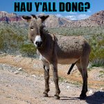 How Y'all Dong? | HAU Y'ALL DONG? | image tagged in donkey dong | made w/ Imgflip meme maker