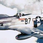 P-51 Mustang meme