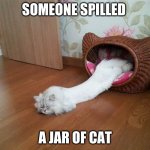 Liqui-cat | SOMEONE SPILLED; A JAR OF CAT | image tagged in liqui-cat | made w/ Imgflip meme maker