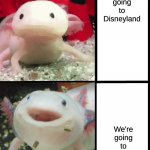 BUT I WANTED TO GO TO GRANDMA'S :-'( | We're going to Disneyland; We're going to Grandma's | image tagged in annoyed axolotl | made w/ Imgflip meme maker
