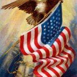 Bald Eagle American flag