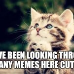 Here pls dont upvote | YOU'VE BEEN LOOKING THROUGH SO MANY MEMES HERE CUTE CAT | image tagged in cute kitten | made w/ Imgflip meme maker