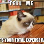 Grumpy Cat Table | T E L L     M E WHAT'S YOUR TOTAL EXPENSE RATIO? LIMITLESS.APP/SG | image tagged in memes,grumpy cat table,grumpy cat | made w/ Imgflip meme maker