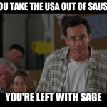 Half Baked Bob Saget | IF YOU TAKE THE USA OUT OF SAUSAGE; YOU'RE LEFT WITH SAGE | image tagged in half baked bob saget | made w/ Imgflip meme maker