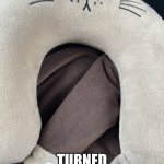 Cat neck | THIS IS A CAT; TURNED INTO A PILLOW | image tagged in meow | made w/ Imgflip meme maker