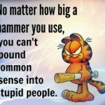 You can't pound common sense into stupid people meme