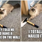 Hammer cat | I TOTALLY NAILED IT! THEY TOLD ME TO HANG A PICTURE ON THE WALL | image tagged in hammer_cat,memes,bad pun | made w/ Imgflip meme maker