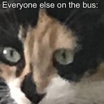 Babe Cat regret | Me: goes into creative; Everyone else on the bus: | image tagged in babe cat regret | made w/ Imgflip meme maker