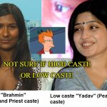 Not sure if high caste or low caste | NOT SURE IF HIGH CASTE
OR LOW CASTE | image tagged in caste system | made w/ Imgflip meme maker