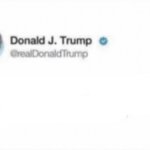 Trump Twitter page template