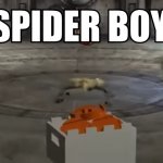 Spider boy