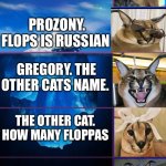 Iceberg 5 layers | NO FLOP FOR NO HOE. FLOPS  BINGUS. CARACAL; PROZONY. FLOPS IS RUSSIAN; GREGORY. THE OTHER CATS NAME. THE OTHER CAT. HOW MANY FLOPPAS; PROZONY WAS SPOUSE TO BE DEAD. | image tagged in iceberg 5 layers | made w/ Imgflip meme maker