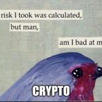 Calculated risk birb | CRYPTO | image tagged in calculated risk birb | made w/ Imgflip meme maker