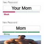 YoUr MoM | Your Mom; Mom | image tagged in password meme | made w/ Imgflip meme maker