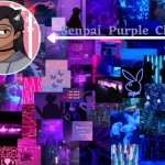 Senpai Purple’s bi temp