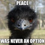 Emu war | PEACE; WAS NEVER AN OPTION | image tagged in bad news emu,peace was never an option,emu war,straya,meanwhile in australia | made w/ Imgflip meme maker