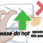 Please do not the cat | upvote this post | image tagged in please do not the cat,upvotes,frontpage,memes,funny memes,bruh moment | made w/ Imgflip meme maker