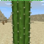 I've seen a lot of pricks but you sir are the whole cactus