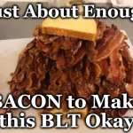 bacon | Just About Enough; BACON to Make this BLT Okay | image tagged in bacon | made w/ Imgflip meme maker