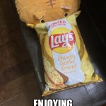 Cat chips | THIS IS A CAT; ENJOYING SOME CHIPS | image tagged in meow | made w/ Imgflip meme maker