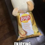 Dog chips | THIS IS A DOG; ENJOYING SOME CHIPS | image tagged in meow | made w/ Imgflip meme maker