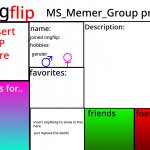 MSMG Profile