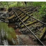 The track