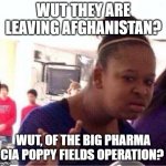 Wut? | WUT THEY ARE LEAVING AFGHANISTAN? WUT, OF THE BIG PHARMA CIA POPPY FIELDS OPERATION? | image tagged in wut | made w/ Imgflip meme maker