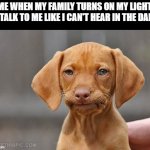 why do they do this | ME WHEN MY FAMILY TURNS ON MY LIGHT TO TALK TO ME LIKE I CAN'T HEAR IN THE DARK: | image tagged in umm dog | made w/ Imgflip meme maker