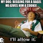 i'll allow it | MY DOG: BEGGING FOR A BAGEL
ME:GIVES HIM A COOKIE; MY DOG: | image tagged in i'll allow it | made w/ Imgflip meme maker