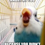 Angy birb | THE BIRB IS ANGRY AT YOU BECAUSE YOU DIDN'T GIVE IT MCDONALDS | image tagged in angy birb | made w/ Imgflip meme maker