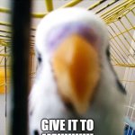Birb see you | IS THAT MCDONALDS? GIVE IT TO ME!!!!!!!!!! | image tagged in birb see you | made w/ Imgflip meme maker