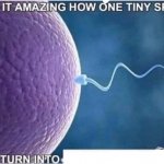 Isnt it amazing how one tiny sperm can turn into